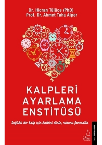 Kalpleri Ayarlama Enstitüsü - Ahmet Taha Alper - Destek Yayınları
