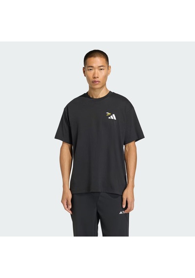 Adidas Terrex Natura Logo Erkek Tişört C-adıkb9663e50a00 Siyah