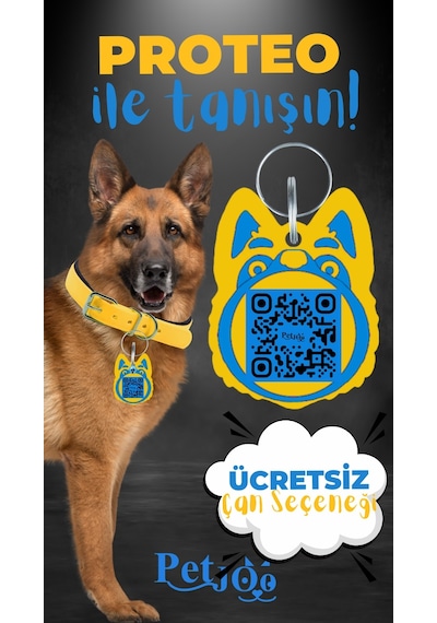 Petjoo 24.Proteo Mavi-Sarı Qr'lı Köpek Künyesi