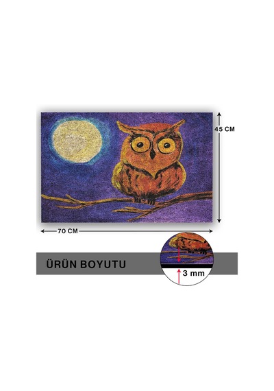 Tasarımlı Dekoratif Kapı Önü Paspas, Dış Mekan/ev İçi/banyo/mutfak/yatak Odası/giriş Paspasları Gece Bayku Diğer