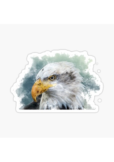 Araba Için Kartal Oto Sticker Yapıştırması Etiket 17Cm Aa1