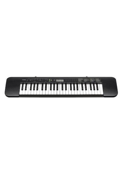 Casio CTK-240 Org