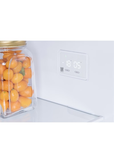 Regal NF 48021 434 LT No-Frost Çift Kapılı Buzdolabı