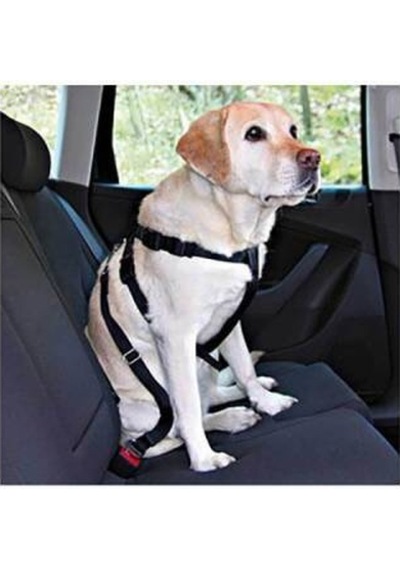 Köpek Emniyet Kemeri Medium 50-70 Cm Çok Renkli