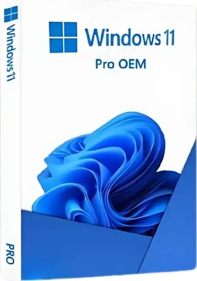 Windows 11 Pro Lisans Key