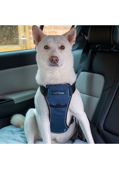 Carsafe Çarpışma Testli Harness Göğüs Tasması, Medium Mavi Sku: Smg8690010307170
