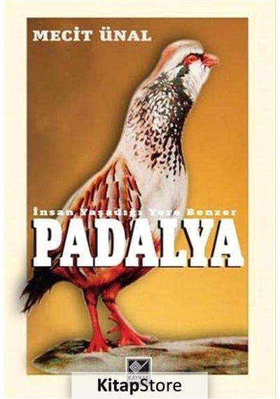 Padalya - Mecit Ünal - Kaynak Yayınları