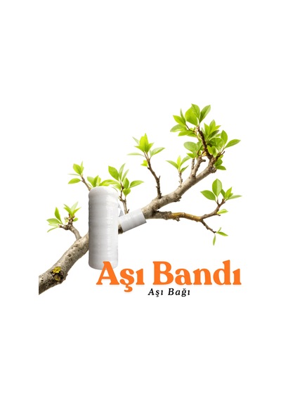 3 Adet Süper Kalite Esnek Aşı Bandı Kendinden Yapışkanlı Fidan Aşı Bağı Esnek Göz Aşı Bandı 100 Mt
