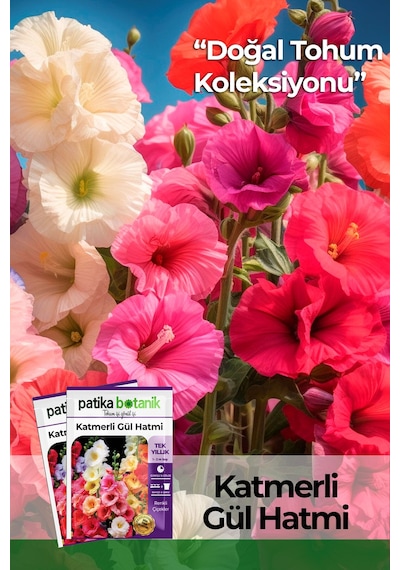 Patika Botanik 50 Adet Hatim Çiçeği Alcea Rosea Çiçek Tohumu