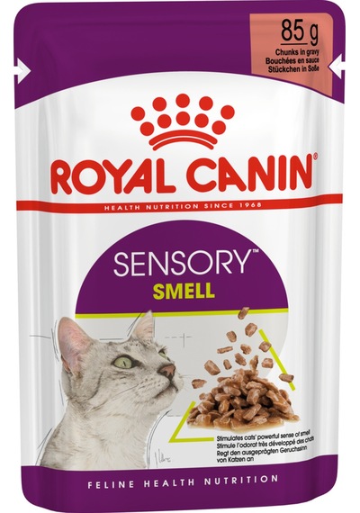 Fit32 2 Kg + Sensory Smell Gravy 85g 2 Adet Hediye