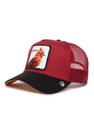 Goorin Bros. Cardinal Fan Kuş Figürlü 101-1990