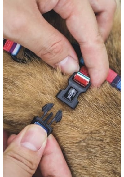 M-pets Urban Style Jazz Strıpes Kedi Göğüs Tasması Set