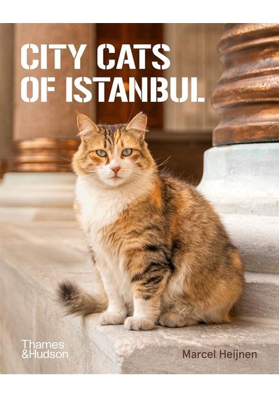 City Cats Of Istanbul Ciltli Thames & Hudson