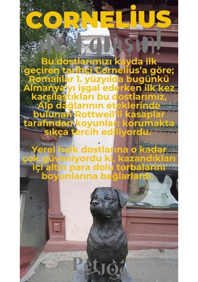 Petjoo 20.Cornelius Gri-Sarı Qr'lı Köpek Künyesi