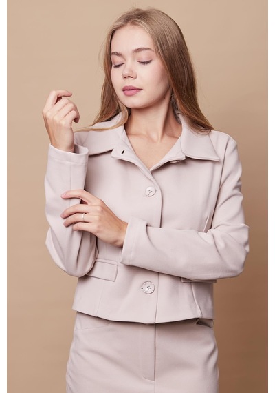 Kadın Likralı Kaşe Kumaş Yakalı Cep Kapaklı Uzun Kol Düğmeli Kısa Blazer Ceket Kaban-şampanya Şampanya Kadın Likralı Kaşe Kumaş Yakalı Cep Kapaklı Uzun Kol Düğmeli Kısa Blazer Ceket Kaban-şampanya Şampanya