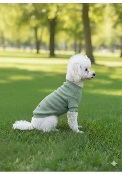 Kedi - Köpek Kaşkorse Esnek Mevsimlik Ceket - Mont - Yağmurluk - Yelek - Kıyafet