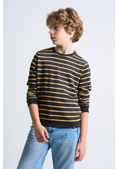 Alexandergardi Alexandergardı Çizgili Bisiklet Yaka Çocuk Sweatshirt Antrasit