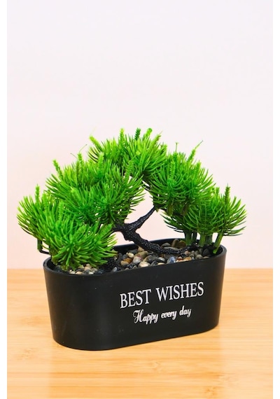 Digithome Dekoratif Kayık Saksılı Yapay Çam Ağacı Bonsai Siyah 16cm Eva-5829 C1-1-423