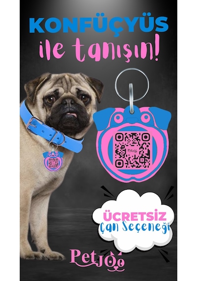 Petjoo 9.Konfüçyüs Pembe-Mavi Qr'lı Köpek Künyesi