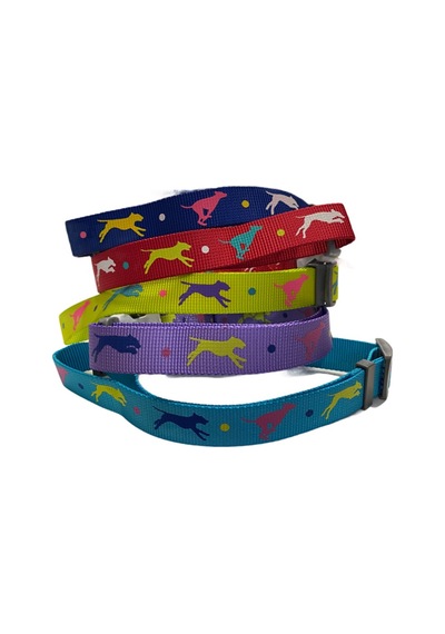 Leaping Dog Premium Boyun Tasması 2,5 Cm X 40-65 Cm Çok Renkli