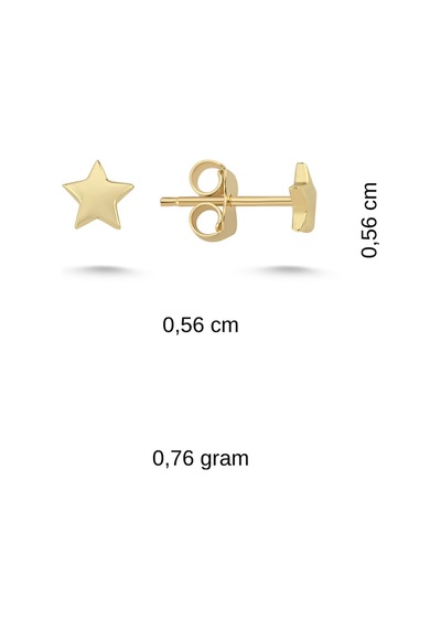 14 Ayar Altın Yıldız Küpe Sarı 13135994