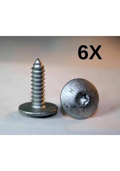 Bmw Torx Civatası Isa St6,3x21 Çamurluk Panel 41358203482 Orj. 6 Adet
