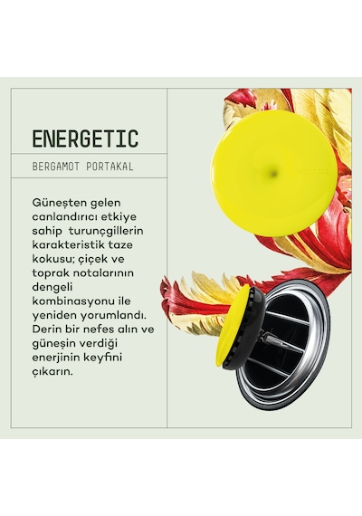Vavana Araba Klima Kokusu Oto Kokusu ENERGETIC & MYSTIC Set