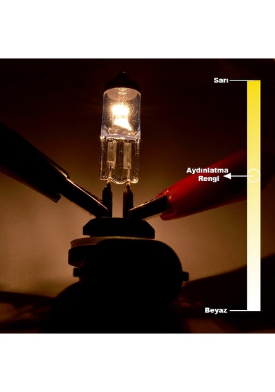 12V 27W H27 Standart Far Ampulü H27W/2 881 Pipo L Tip