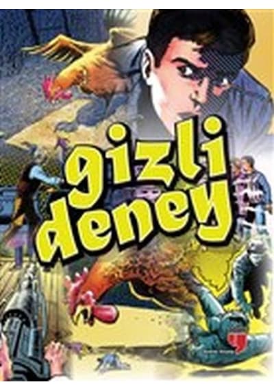 Gizli Deney - Yıldırım Örer - Edam