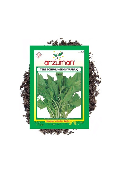 Arzuman Tere Tohumu Geniş Yaprak 25 GRam