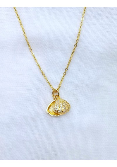 Gold Renk İstiridyeye Gizlenmiş İnci, Çelik Zincirli, Kadın Kolye Çok renkli