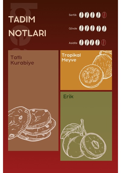 Colombia Orange Tabi Çekirdek Kahve 250 Gr , %100 Arabica Çekirdek Kahve