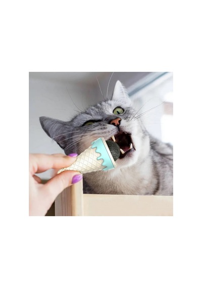 Dondurma Şeklinde Kedi Nanesi Kedi Otu - Pg6240
