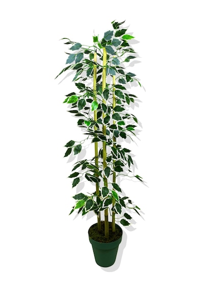 Cihan Çiçekçilik Yapay Yapraklı Fıcus 3 Bambu'lu 110 Cm Beyaz- Yeşil