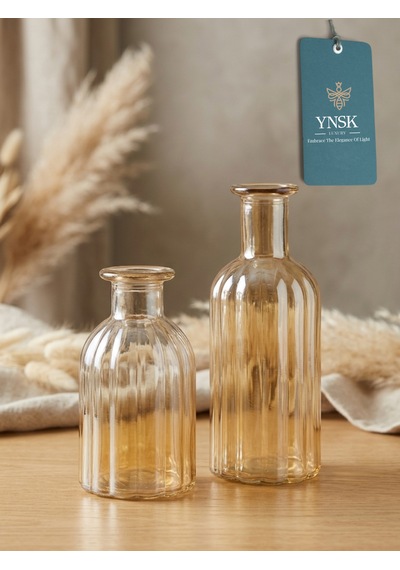 2 Li Cam Vazo Seti Minimalist Dekoratif Modern Nordic Çiçeklik Masa Üstü Vazo Bal