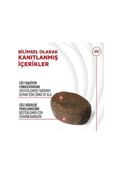 Royal Canin Skin & Coat Chews Deri Ve Tüy Sağlığını Destekleyen Yetişkin Köpek Ödül Maması 240gr