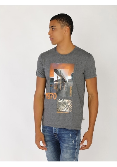 Roberto Cavalli Erkek Tshirt /M.Rob.0421.14024 Koyu Gri