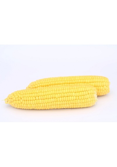 Tatlı Mısır Tohumu 25 GR Hibrit Şeker Mısır