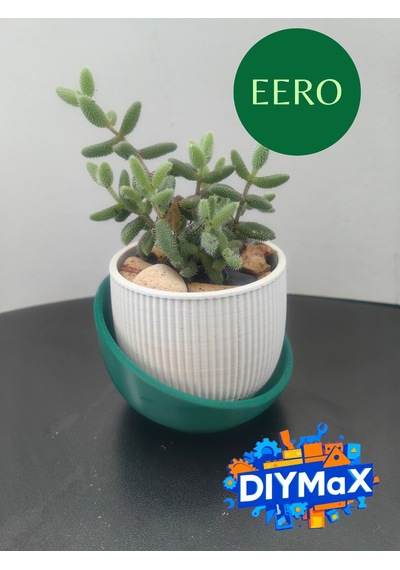 Eero Planter Saksı 8x8 Cm Dekoratif Modern Minimal Sukulent Saksı Beyaz - Yeşil