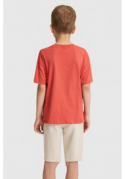 U.s. Polo Assn. Erkek Çocuk Kiremit Tişört 50327009-vr031