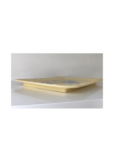 Sunumluk Tepsi Epoksi Yüzey 28cm 21cm Mutfak Dekorasyon Sarı - 909304237 Sarı