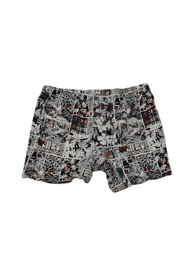 Erkek Baskılı Likra Boxer Bgl-st03866 001