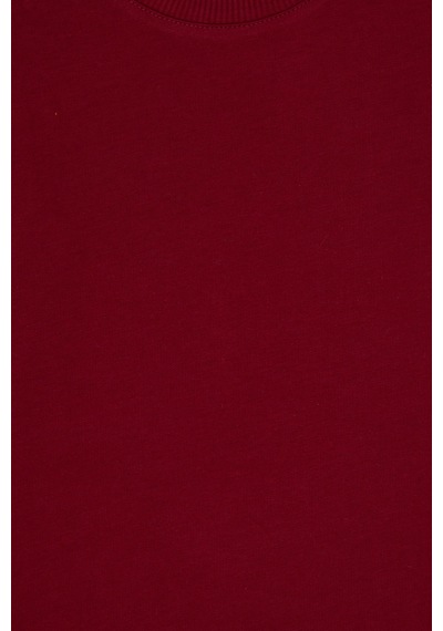 U.S. Polo Assn. Erkek Çocuk Bordo Bisiklet Yaka Basic Sweatshirt 50313831-VR014 U.S. Polo Assn. Erkek Çocuk Bordo Bisiklet Yaka Basic Sweatshirt 50313831-VR014