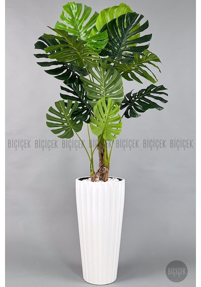 Yapay Monstera Ağacı Deve Tabani 200 Cm Beyaz Li Lyum Saksıda