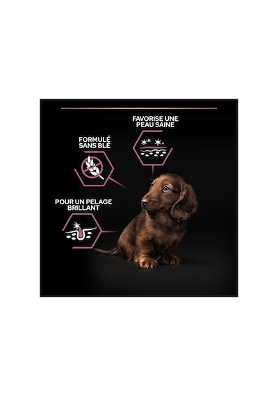 Purina Pro Plan Small & Mini Puppy Sensitive Skin, Somonlu Yavru Köpek Maması, 3 Kg