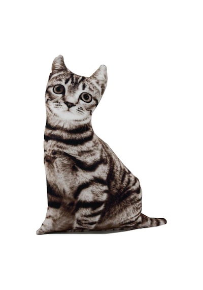 3d Dijital Baskılı Dekoratif Kedi Yastık Tekir Renkli