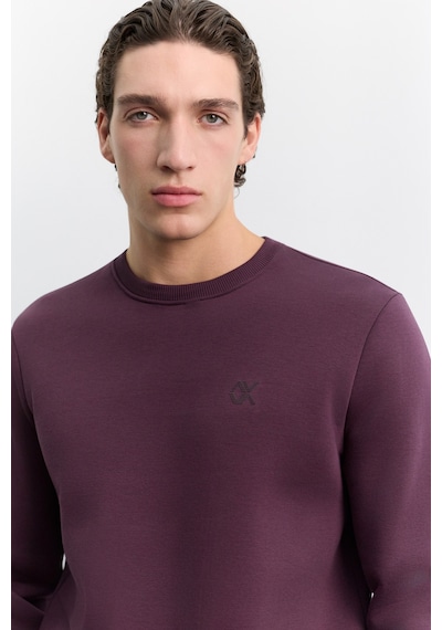 Avva Erkek Bordo Bisiklet Yaka 3 İplik Şardonlu -5 Dereceye Dayanıklı Regular Fit Sweatshirt A62y1291