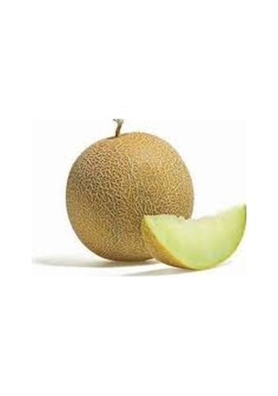 50 Adet Tohum Ananas Kavunu Tohumu Bal Kavun Tohumu Y