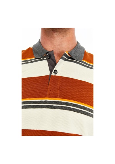 Ar-ma Erkek Ribanalı Regular Fit Çizgili %95 Pamuk %5 Elastane Ringel Pike Kumaş Polo Yaka Düğmeli Sweatshirt K30554953102 Kahverengi-k3 Kahverengi - Krem Ar-ma Erkek Ribanalı Regular Fit Çizgili %95 Pamuk %5 Elastane Ringel Pike Kumaş Polo Yaka Düğmeli Sweatshirt K30554953102 Kahverengi-k3 Kahverengi - Krem