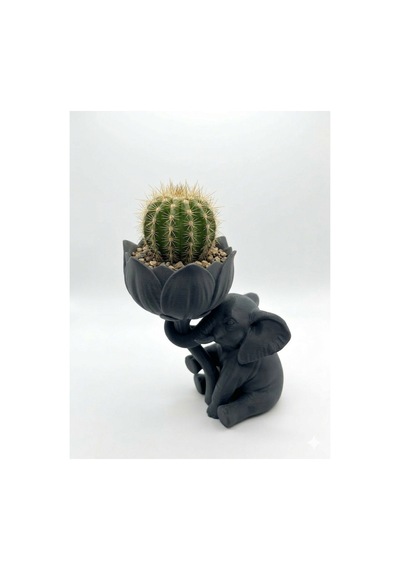 3d Baskı Fil Tasarımlı Lotus Çiçeği Sukulent & Kaktüs Saksısı İskandinav Tarzı Dekoratif Obje